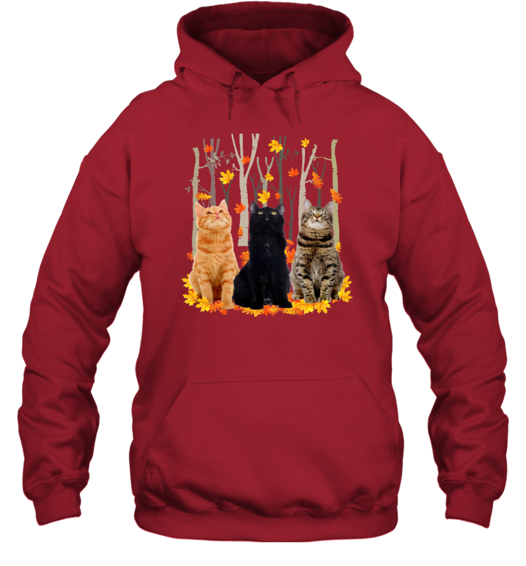 ETT1799 Cats Autumn