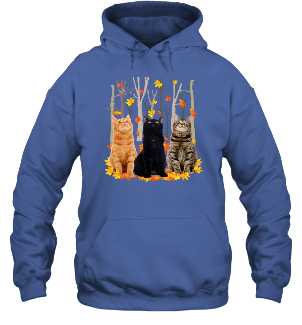 ETT1799 Cats Autumn