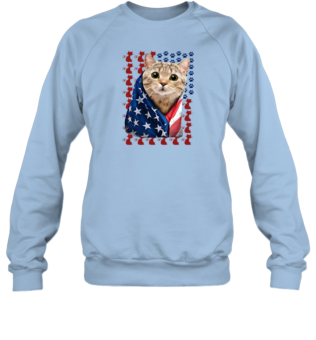 ETT2380 USA Flag Cat