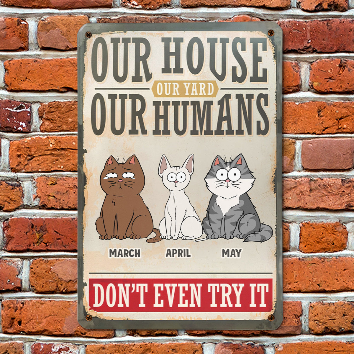 PSMT16 My House My Yard My Human Don't Even Try It Dog Lover-Personalized Custom Metal Sign