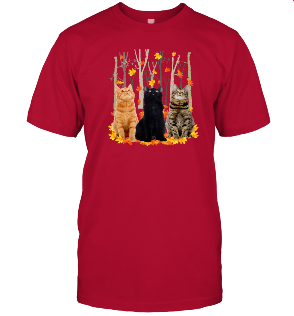 ETT1799 Cats Autumn