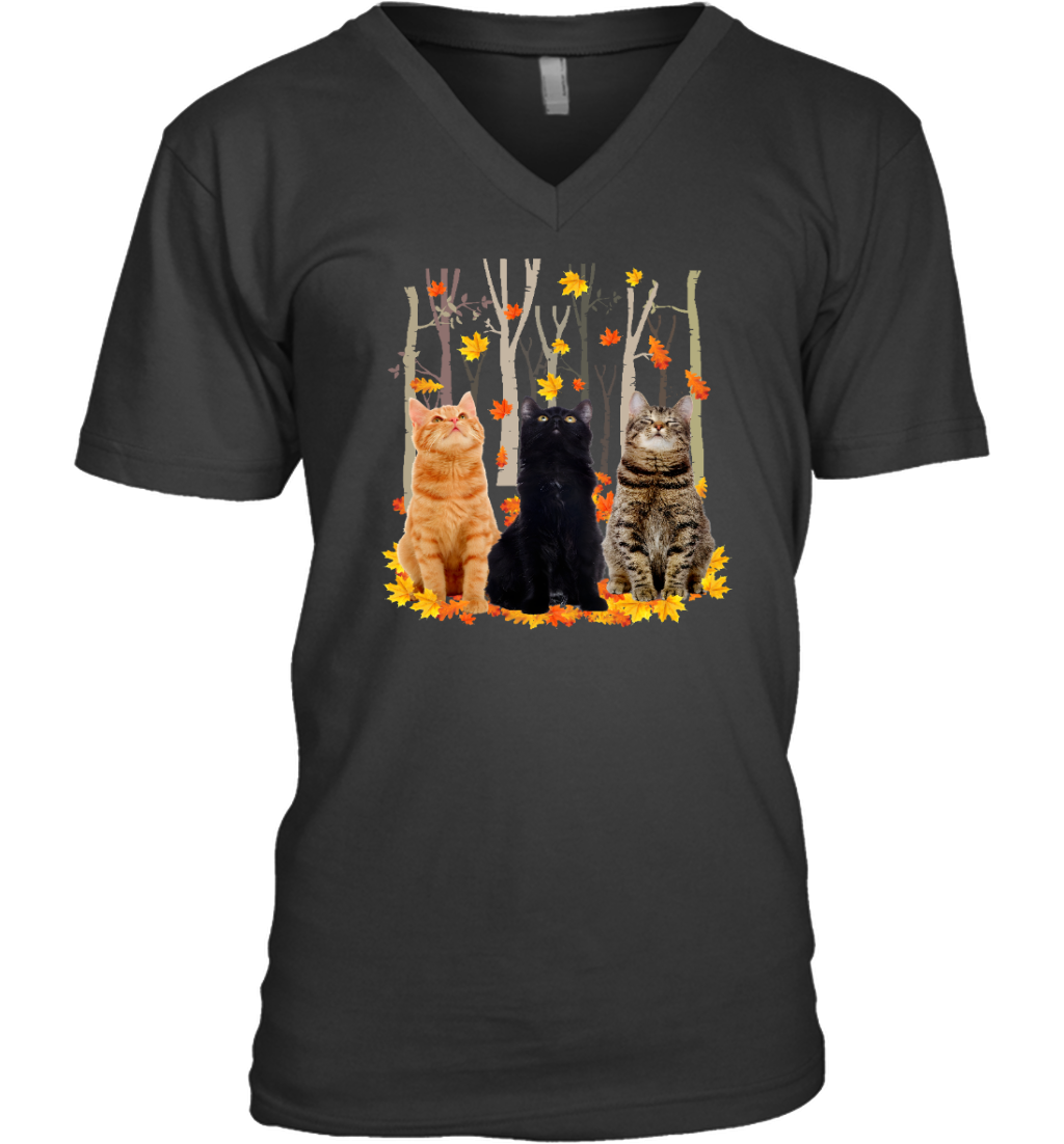 ETT1799 Cats Autumn
