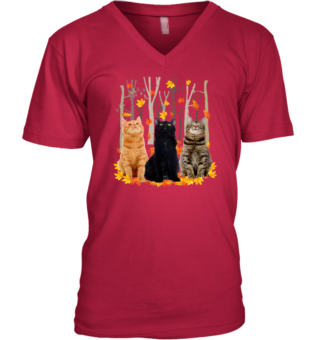 ETT1799 Cats Autumn