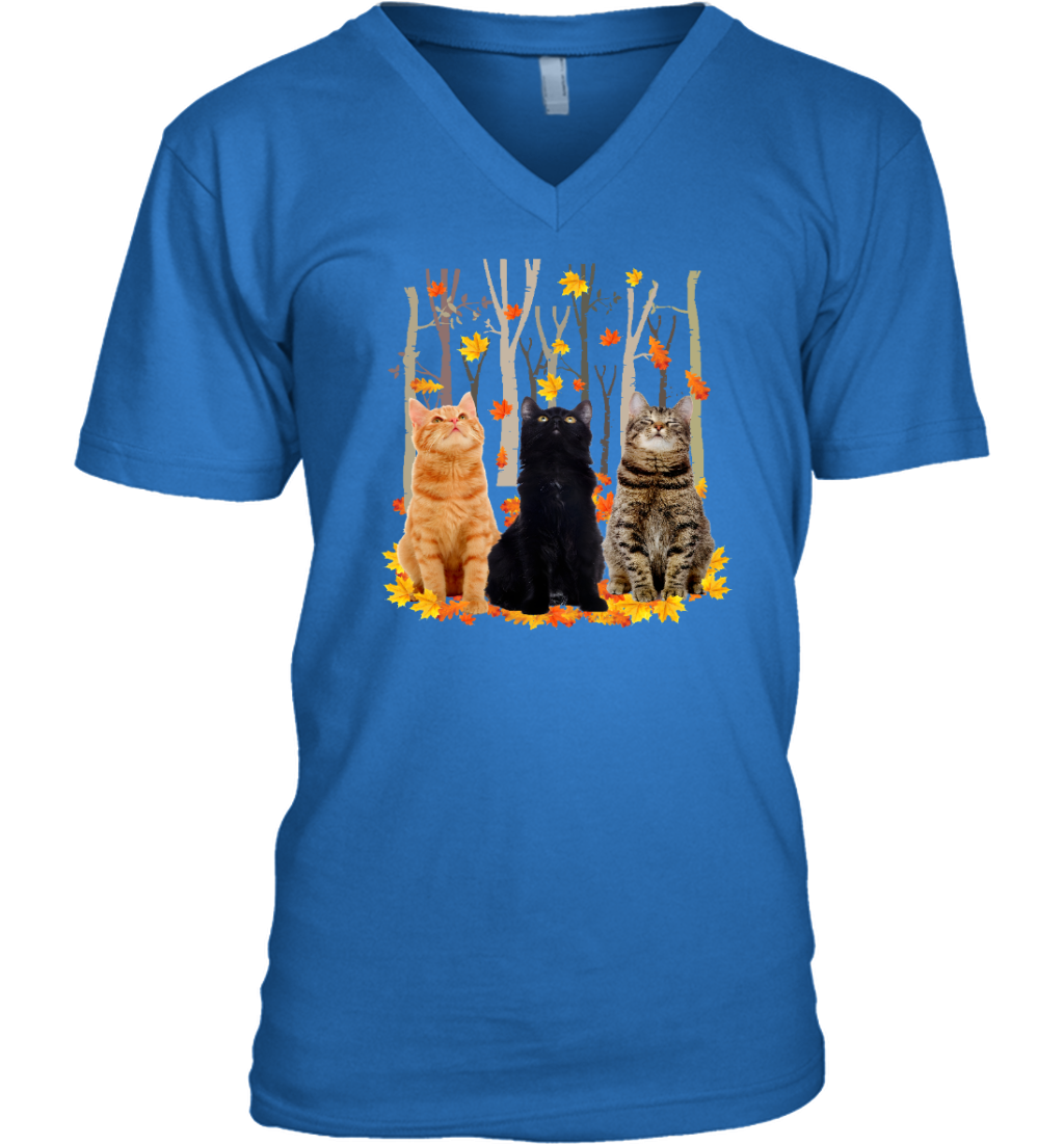 ETT1799 Cats Autumn