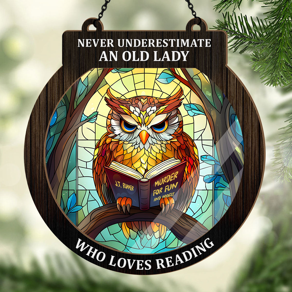 PSSW18 Never Underestimate A Woman Who Loves Reading Window Hanging Suncatcher Ornament
