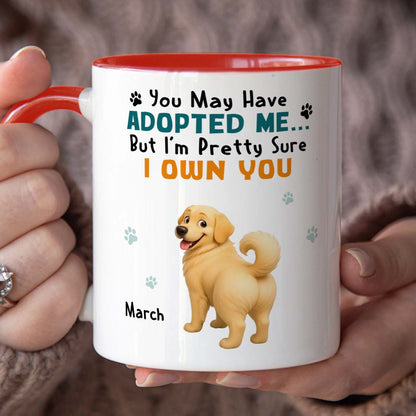 PSTM12 You May Have Adopted Me But I Own You Dog Lover - White Mug Accent Mug