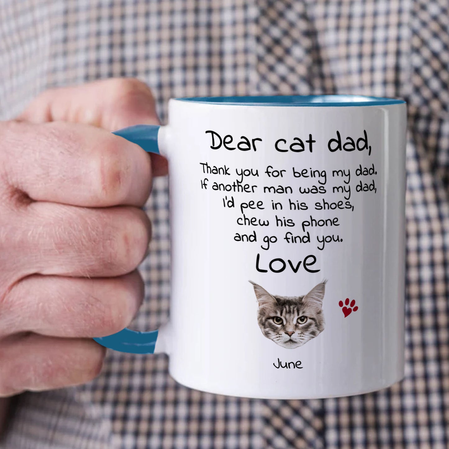 PST92 Dear Cat Dad Cat Mom Cat Parent - White Mug Accent Mug
