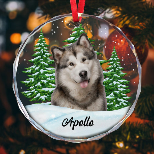 UPST188 Pet Lovers Upload Photo Christmas Tree - Personalized Glass Ornament