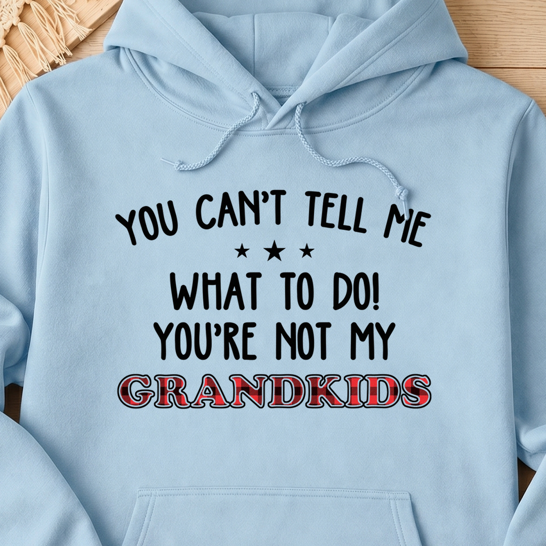 VPST18 You Can't Tell Me What To Do You're Not My Daughter -Personalized T-shirt Hoodie