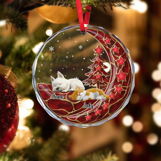 PSTG10 Always Beside You  - Personalized Glass Ornament