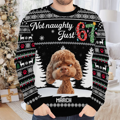 PSTS61 Not Naughty Just 67 Dog Lover - Personalized Custom Sweater