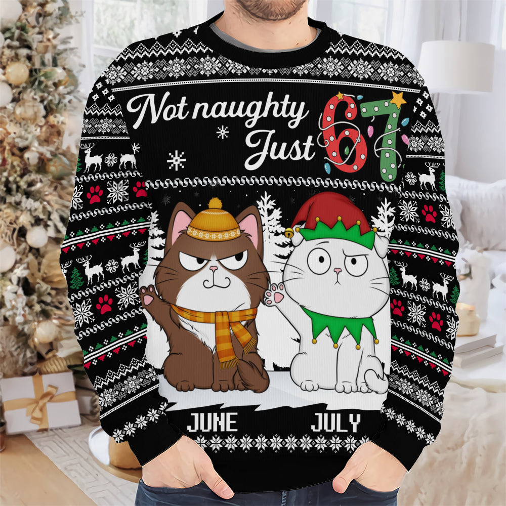 PSTS59 Not Naughty Just 67 Cat Lover - Personalized Custom Sweater