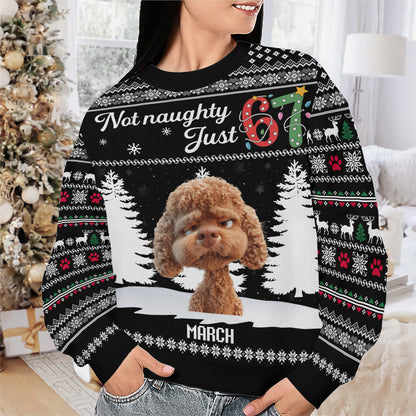 PSTS61 Not Naughty Just 67 Dog Lover - Personalized Custom Sweater