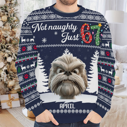 PSTS61 Not Naughty Just 67 Dog Lover - Personalized Custom Sweater