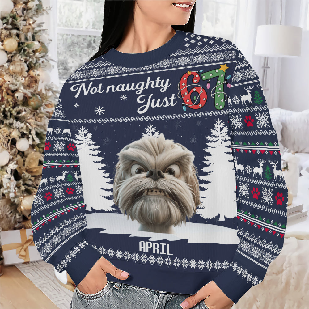 PSTS61 Not Naughty Just 67 Dog Lover - Personalized Custom Sweater
