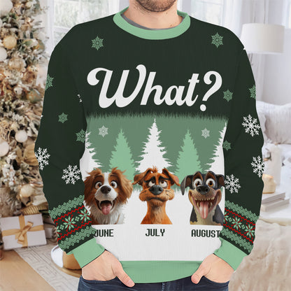 PSTS52 What Grumpy Dog Xmas - Personalized Custom Sweater