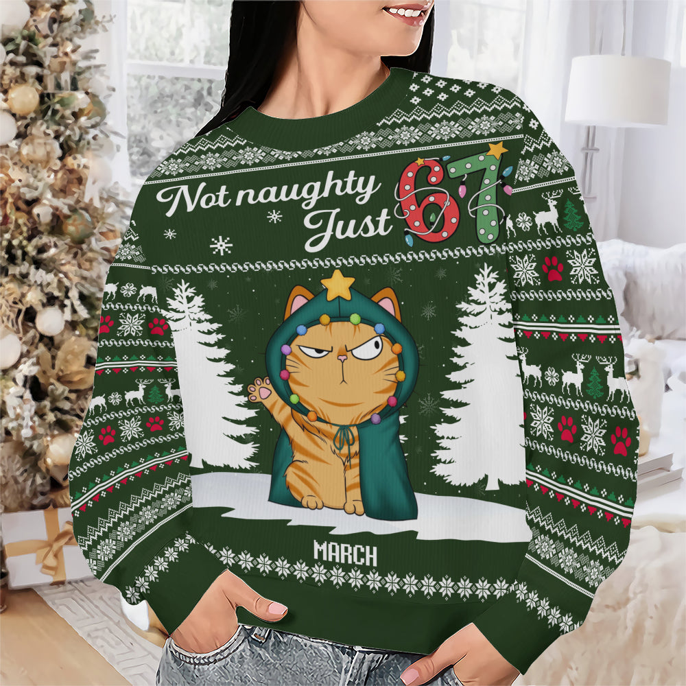 PSTS59 Not Naughty Just 67 Cat Lover - Personalized Custom Sweater