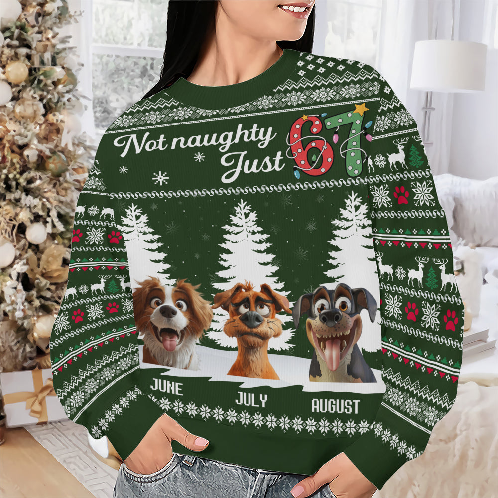 PSTS61 Not Naughty Just 67 Dog Lover - Personalized Custom Sweater