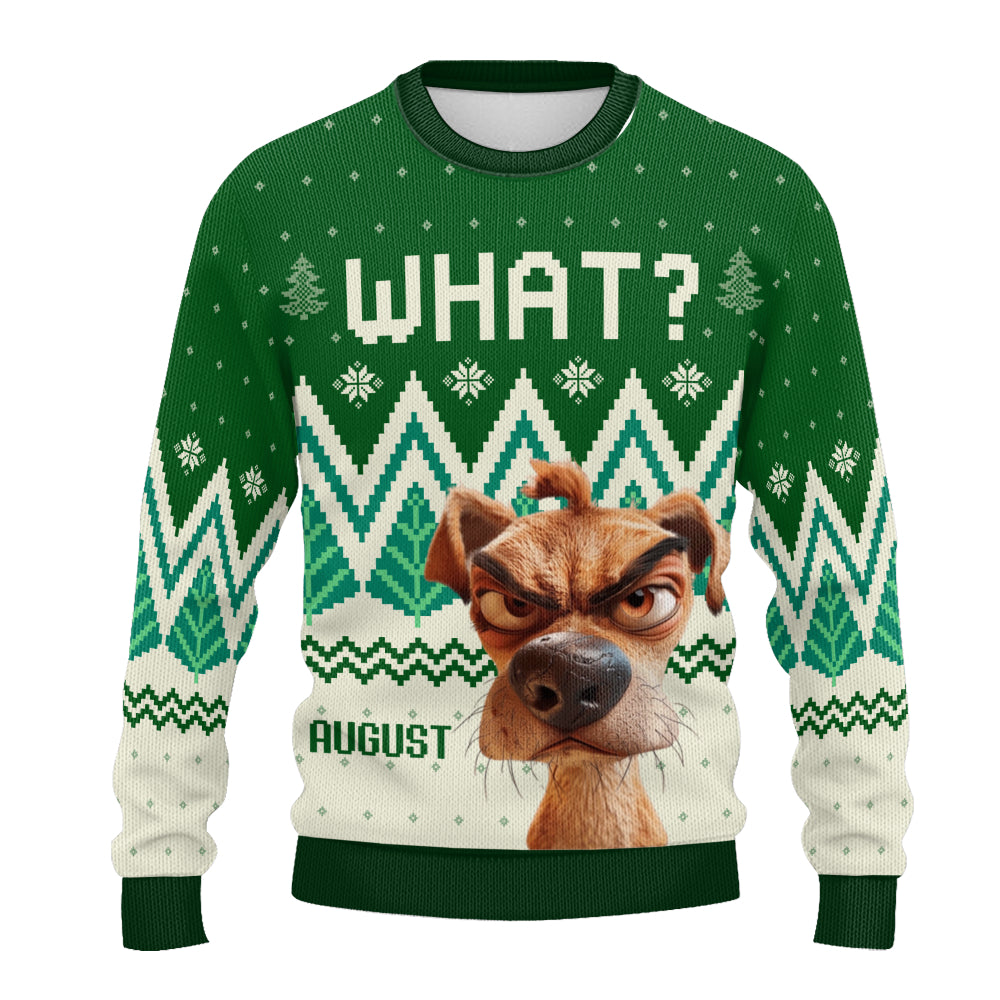 PSTS56 What Funny Grumpy Dog Xmas - Personalized Custom Sweater