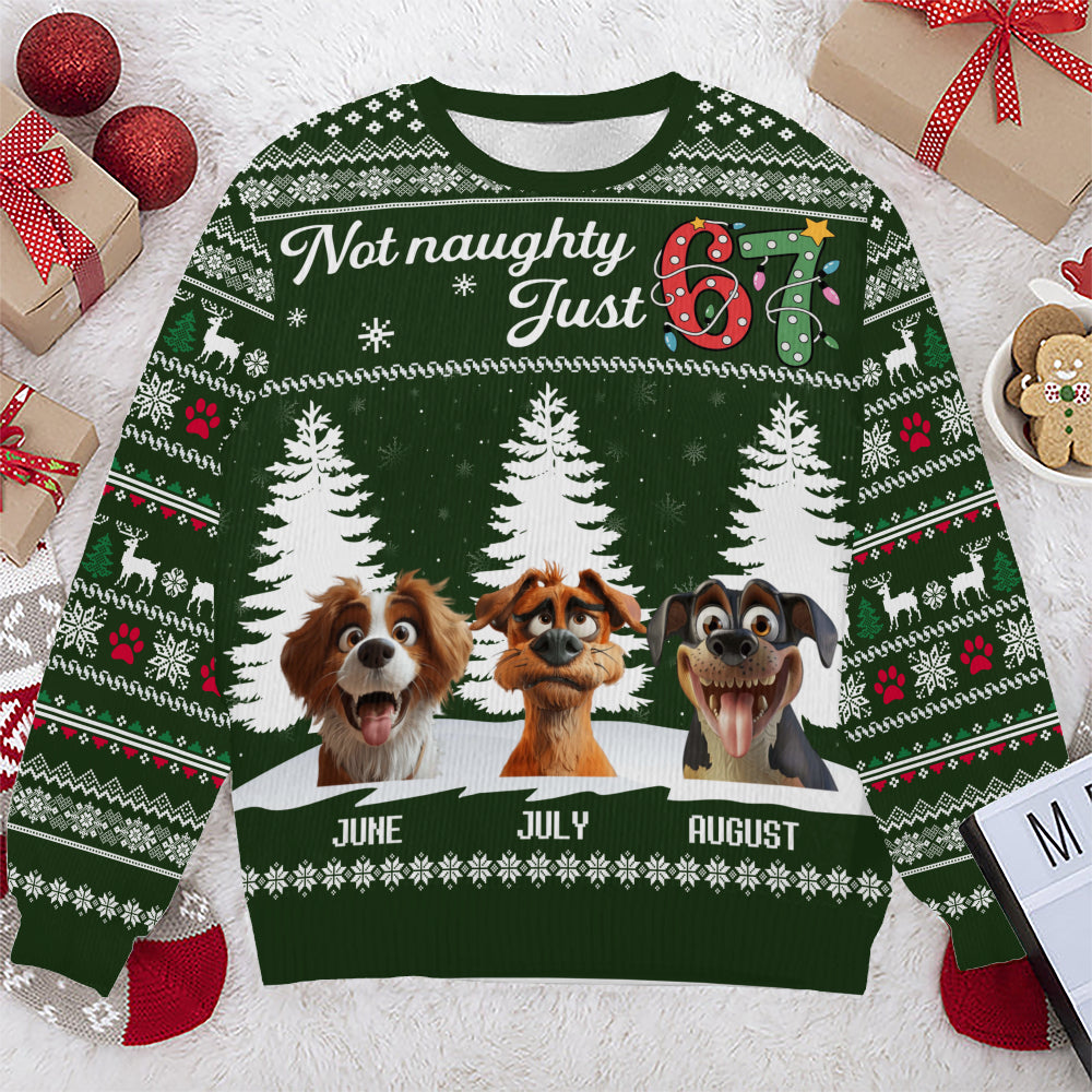 PSTS61 Not Naughty Just 67 Dog Lover - Personalized Custom Sweater