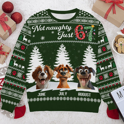 PSTS61 Not Naughty Just 67 Dog Lover - Personalized Custom Sweater