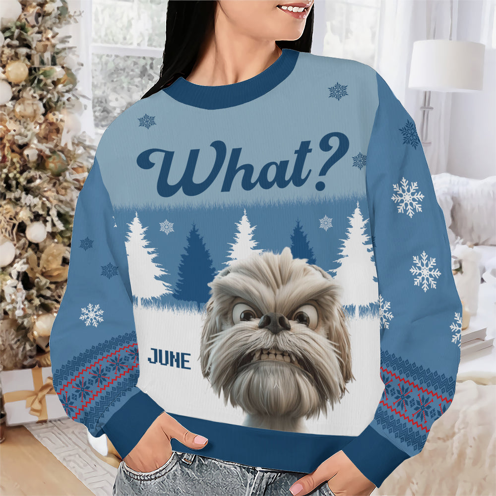 PSTS52 What Grumpy Dog Xmas - Personalized Custom Sweater