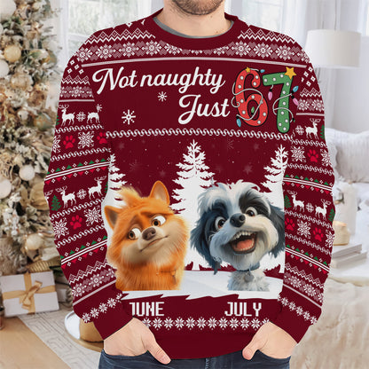 PSTS61 Not Naughty Just 67 Dog Lover - Personalized Custom Sweater