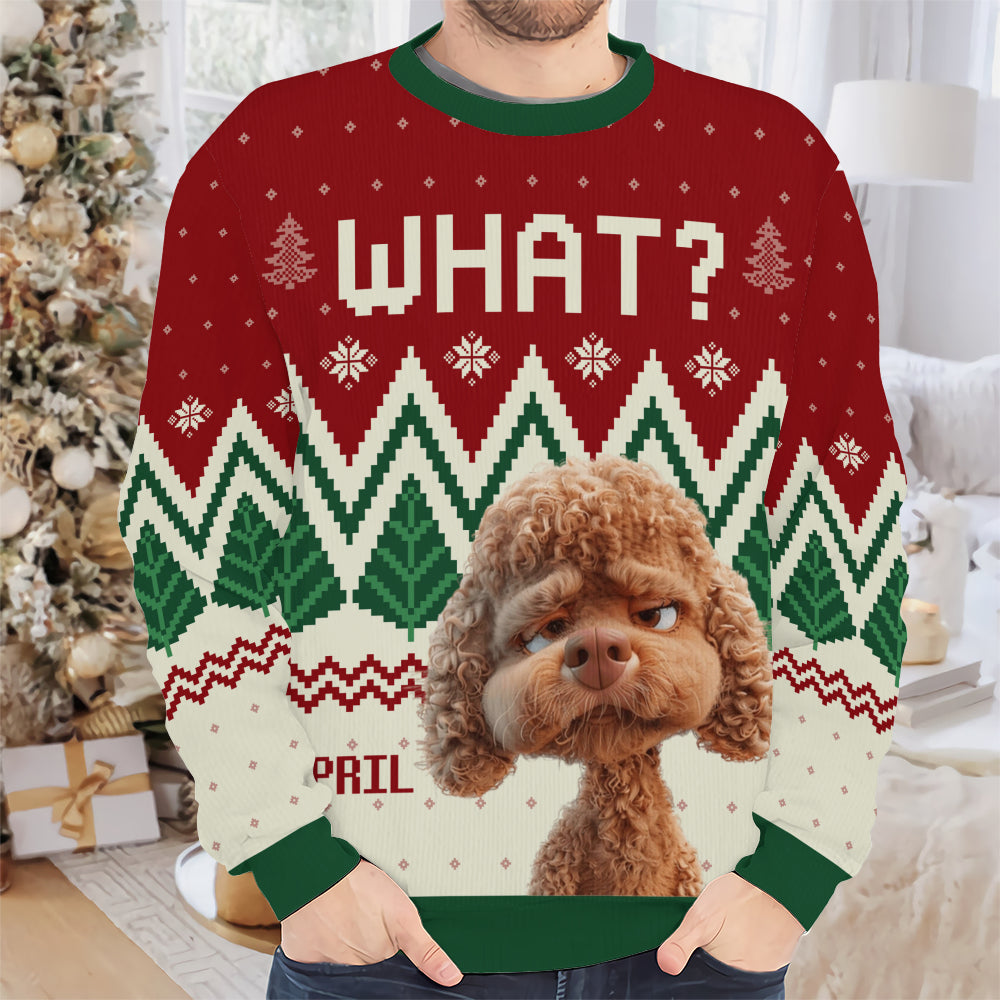 PSTS56 What Funny Grumpy Dog Xmas - Personalized Custom Sweater