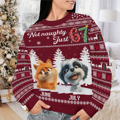 PSTS61 Not Naughty Just 67 Dog Lover - Personalized Custom Sweater