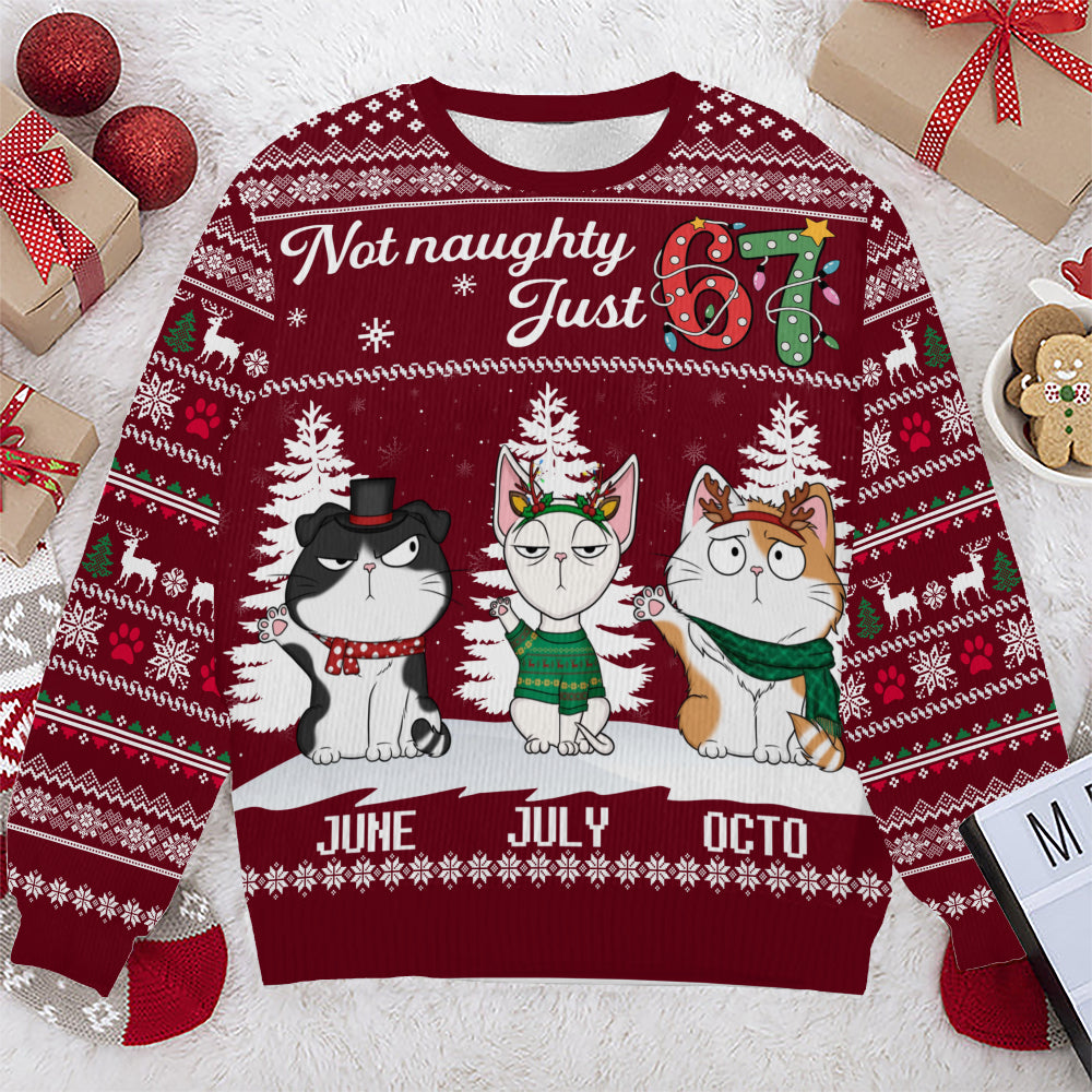 PSTS59 Not Naughty Just 67 Cat Lover - Personalized Custom Sweater