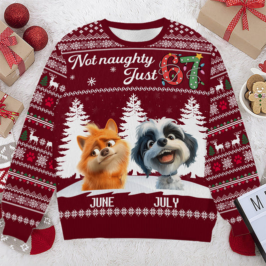 PSTS61 Not Naughty Just 67 Dog Lover - Personalized Custom Sweater