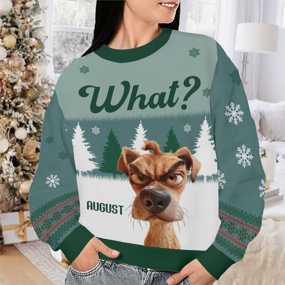 PSTS52 What Grumpy Dog Xmas - Personalized Custom Sweater
