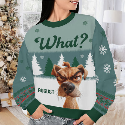 PSTS52 What Grumpy Dog Xmas - Personalized Custom Sweater
