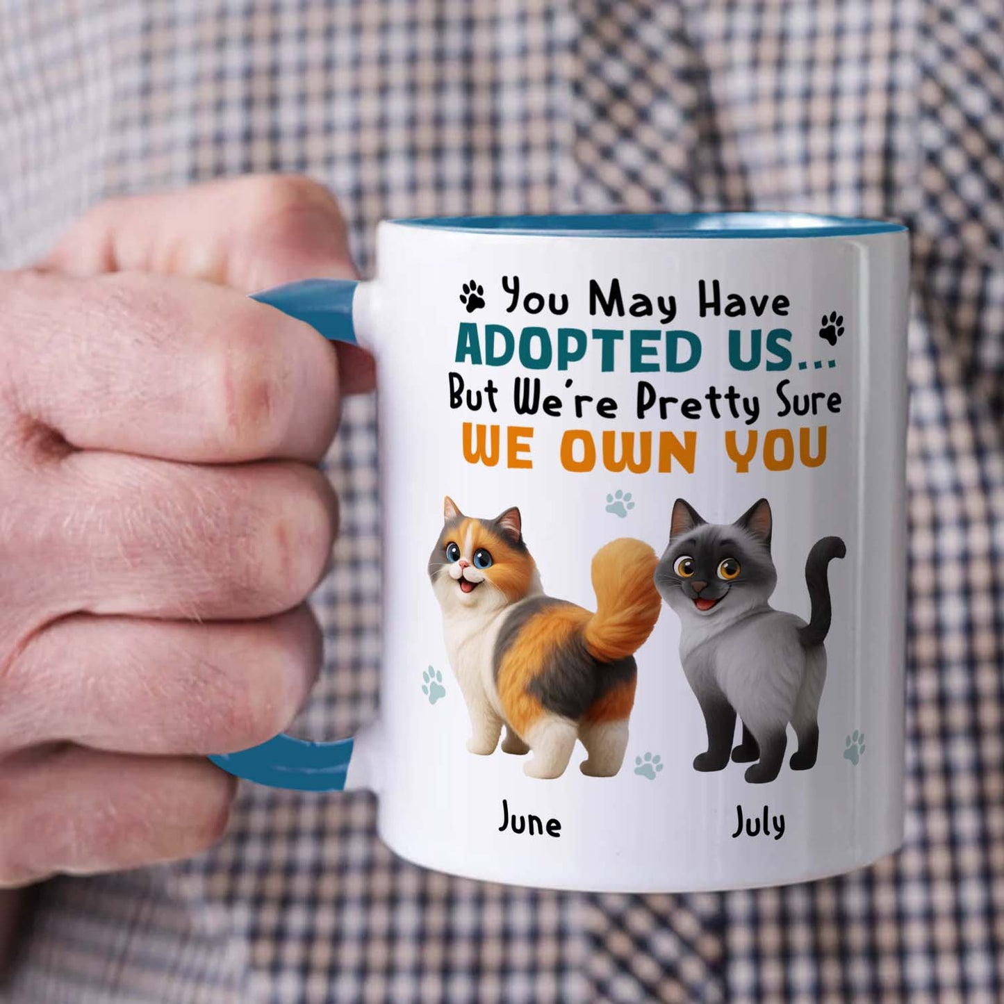 PSTM11 You May Have Adopted Me But I Own You Cat Lover - White Mug Accent Mug