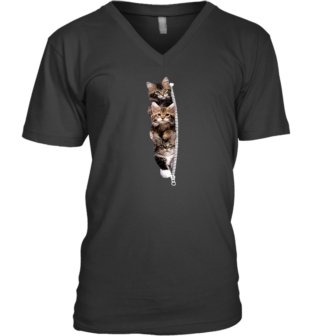 ETT1762 Cats