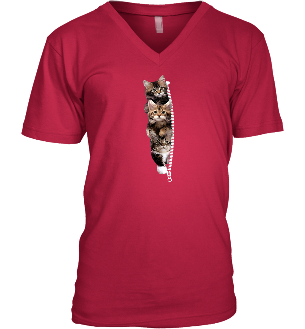 ETT1762 Cats
