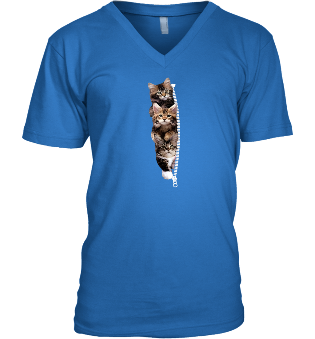 ETT1762 Cats