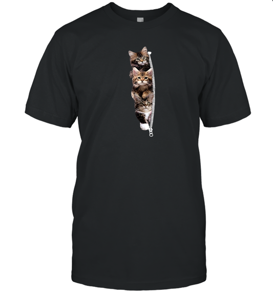 ETT1762 Cats