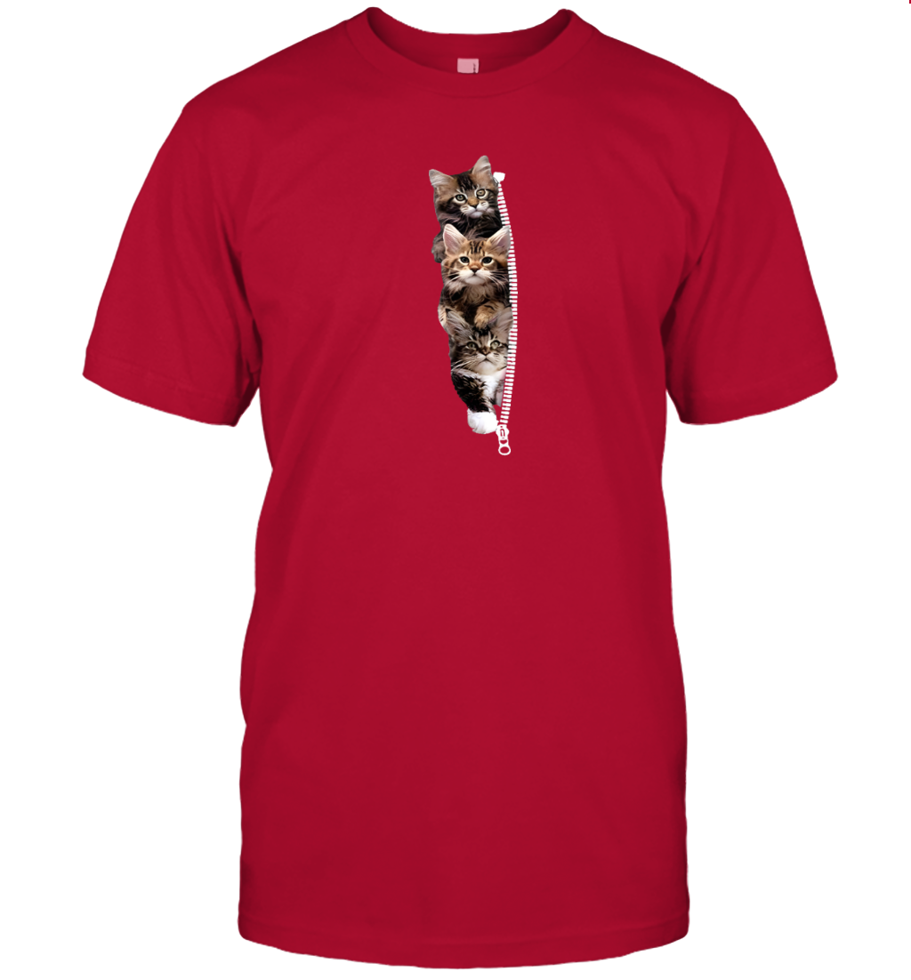 ETT1762 Cats