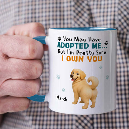 PSTM10 You May Have Adopted Me But I Own You - White Mug Accent Mug