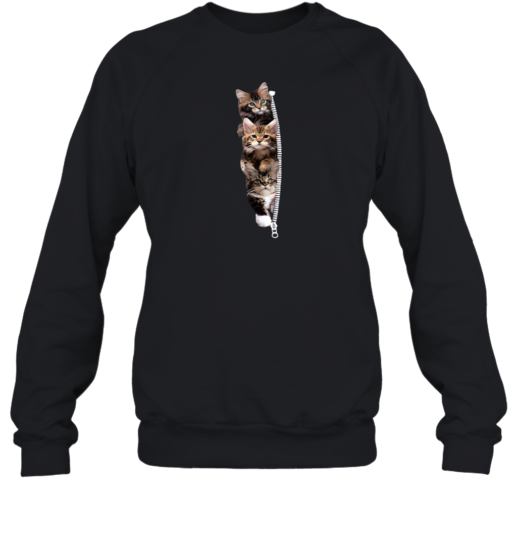 ETT1762 Cats