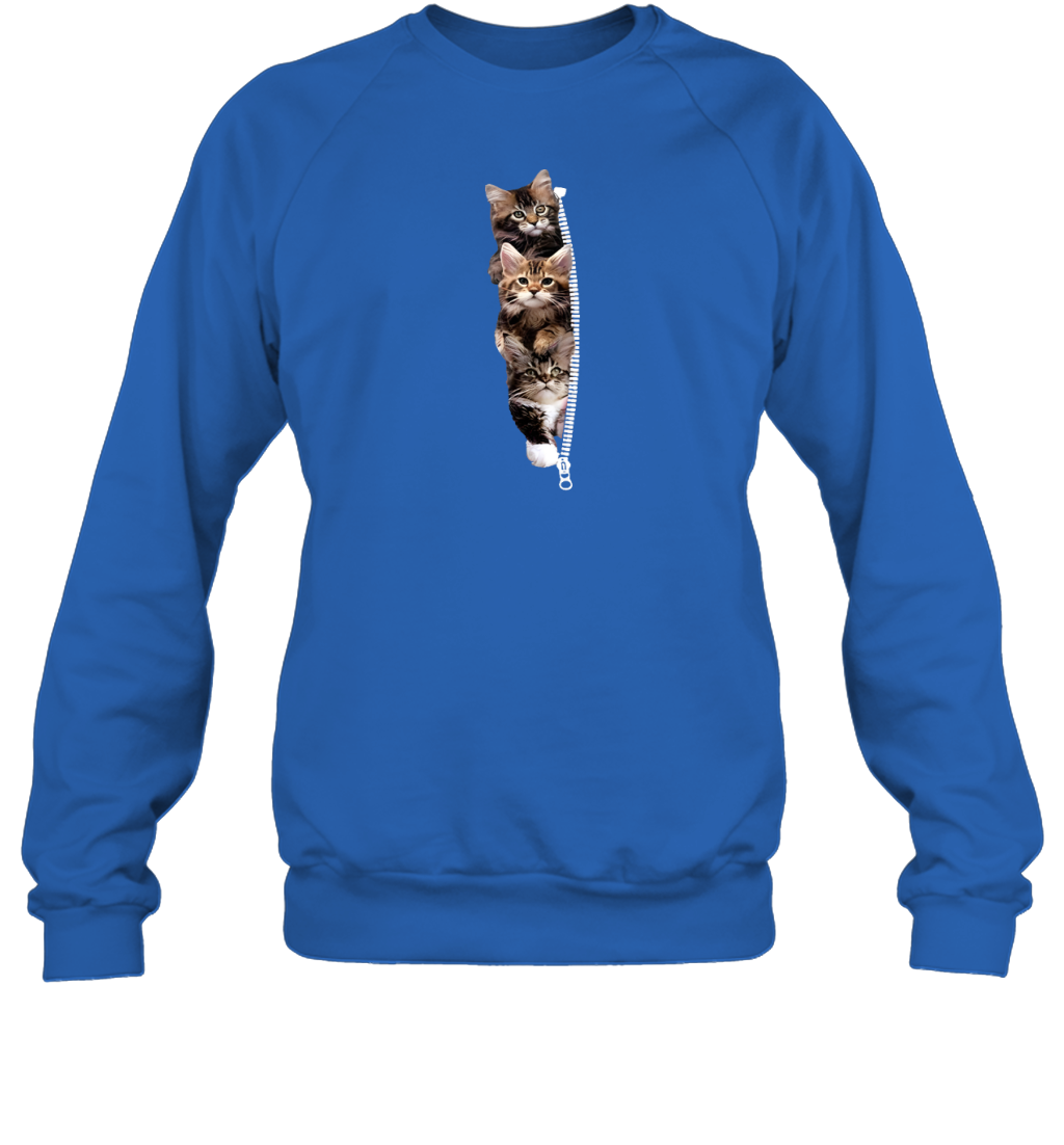 ETT1762 Cats
