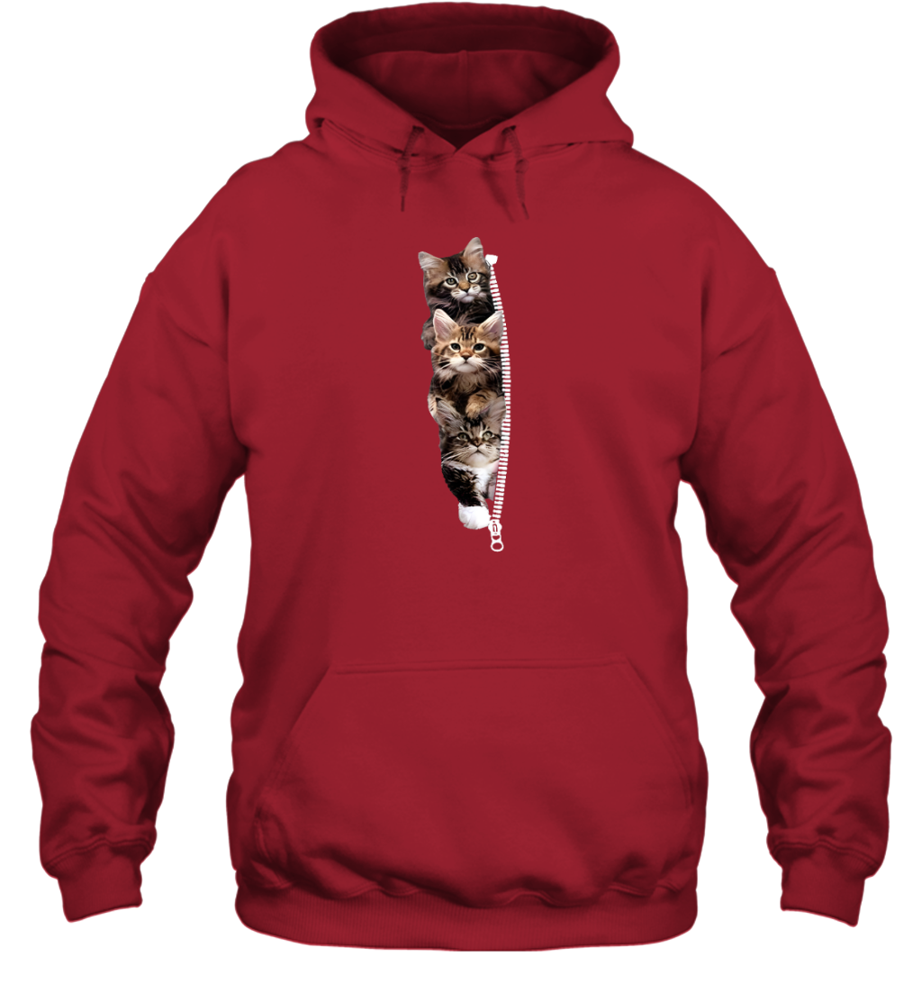 ETT1762 Cats