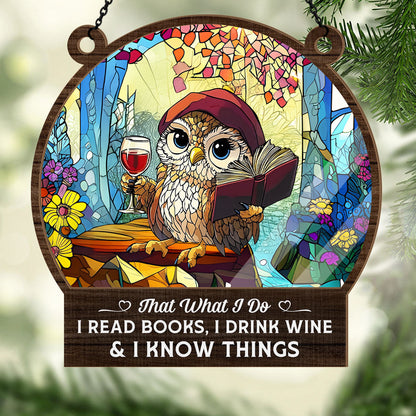 PSSW19 I Read Books And I Know Things Window Hanging Suncatcher Ornament