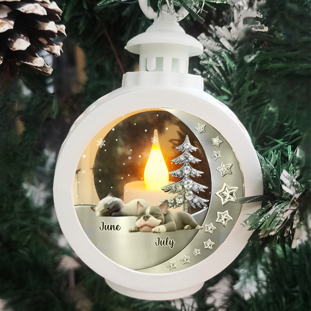 PSTL01 Fur Dad Mom - Personalized Custom 3D Effect Christmas Lantern